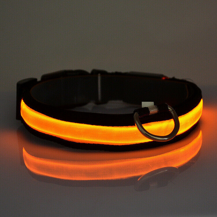 SAFETY LED Dog Pet Light Up Collar Night Glow Adjustable Bright 6 Color Leash