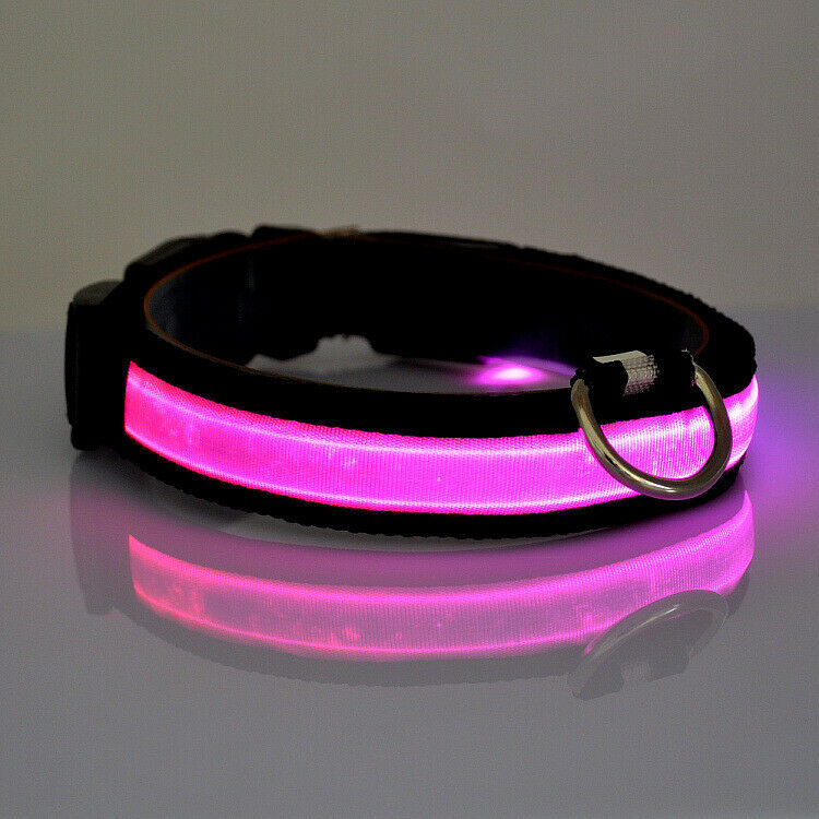 SAFETY LED Dog Pet Light Up Collar Night Glow Adjustable Bright 6 Color Leash