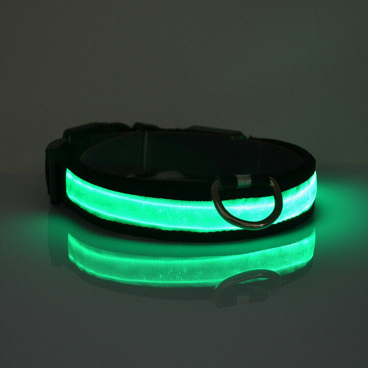 SAFETY LED Dog Pet Light Up Collar Night Glow Adjustable Bright 6 Color Leash